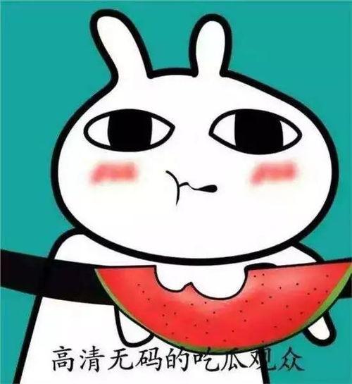 坐等吃瓜表情包图片搞笑  第1张